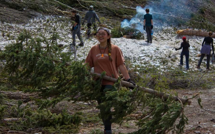 a person carries a large tree branch during a service project with outward bound